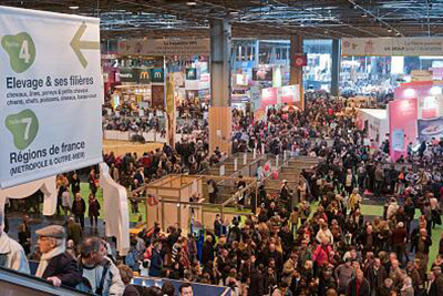 赋能品牌，引爆流量 展会宣传片高效策划全攻略与专业服务咨询