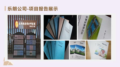 东兴代做计划书的公司策划案例 信息咨询服务全流程剖析