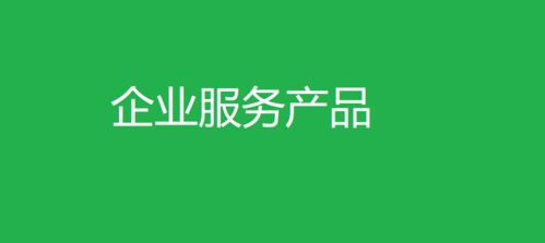 企业服务产品 从需求洞察到客户成功的生态构建
